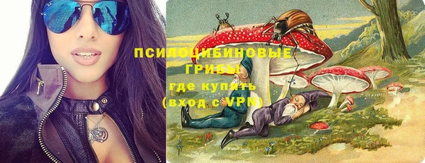 а пвп мука Алзамай