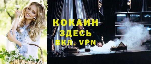 не бодяженный Алексин