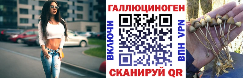 KRAKEN зеркало  Донецк  Галлюциногенные грибы Psilocybe  купить наркотики сайты 